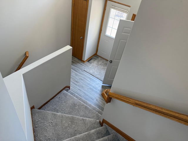 5674 Sherman Oaks Rd, Stacy, MN 55079 - photo 3