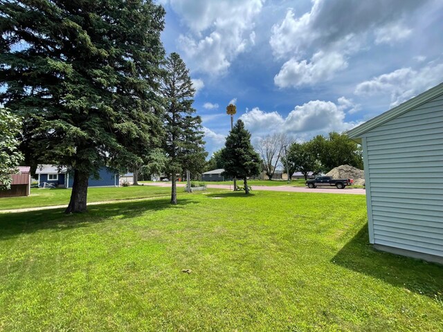 501 Jackson Ave, Springfield, MN 56087 - photo 46