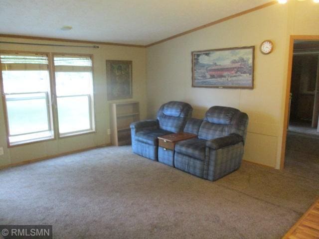 14118 Eide Rd, Oak Lawn Twp, MN 56401 - photo 5