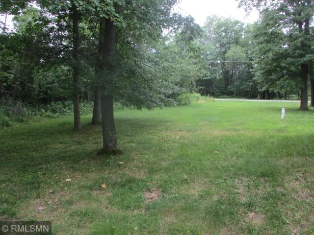 14118 Eide Rd, Oak Lawn Twp, MN 56401 - photo 18