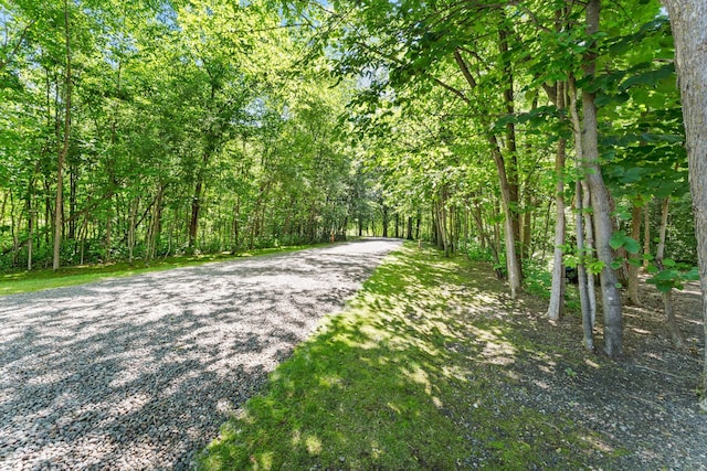 16873 Shoreline Rd, Chengwatana Twp, MN 55063 - photo 35