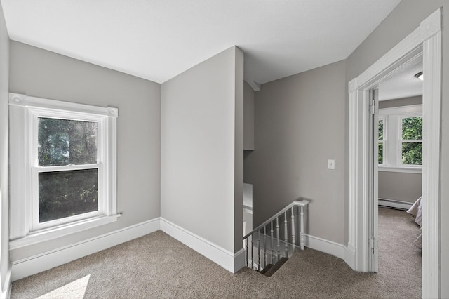 6640 Maple St, North Branch, MN 55056 - photo 27