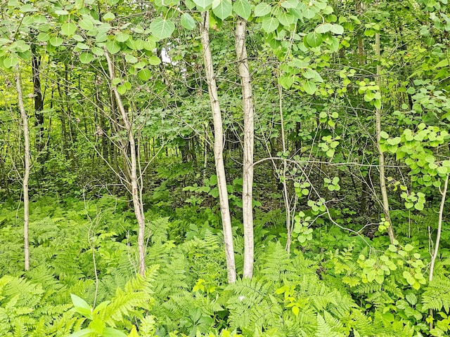 LOT39 Waters Edge Ct NW, Leech Lake Twp, MN 56484 - photo 2