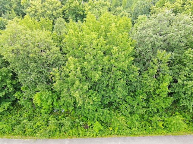 LOT39 Waters Edge Ct NW, Leech Lake Twp, MN 56484 - photo 8