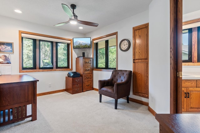 3110 Van Ave NE Unit 1, Alexandria, MN 56308 - photo 31