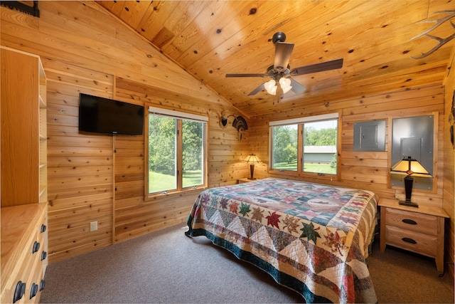 50258 Jack The Horse Lake Rd, Bigfork, MN 56628 - photo 17