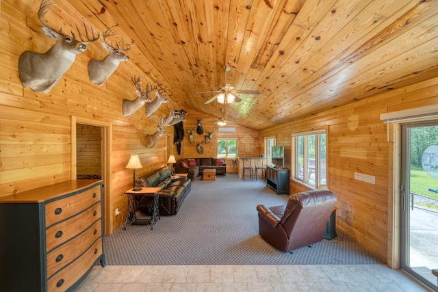 50258 Jack The Horse Lake Rd, Bigfork, MN 56628 - photo 21