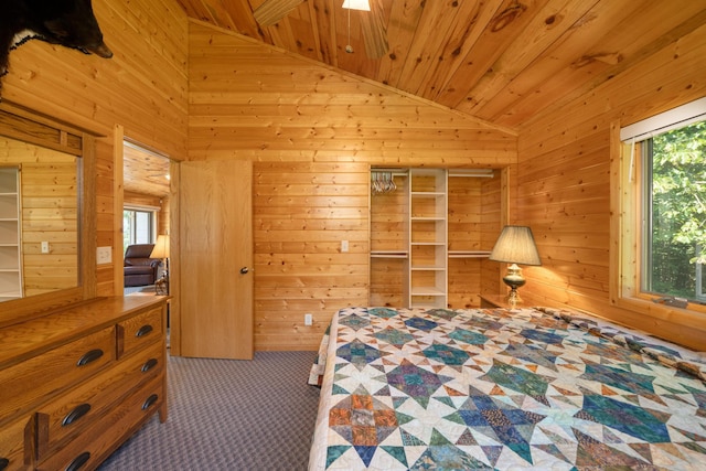 50258 Jack The Horse Lake Rd, Bigfork, MN 56628 - photo 26