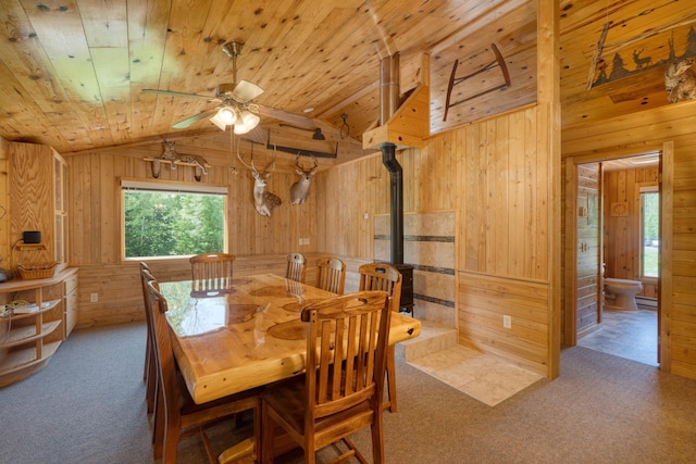 50258 Jack The Horse Lake Rd, Bigfork, MN 56628 - photo 28