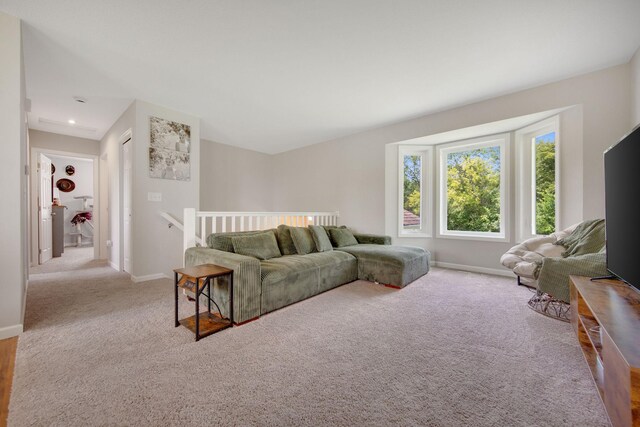 52925 Basswood Rd W, Nessel Twp, MN 55006 - photo 10