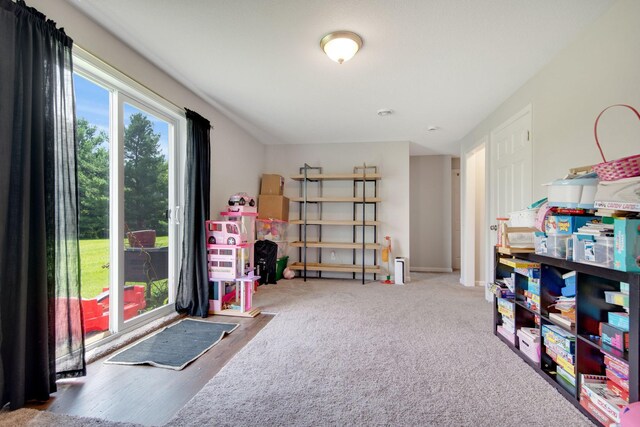 52925 Basswood Rd W, Nessel Twp, MN 55006 - photo 17
