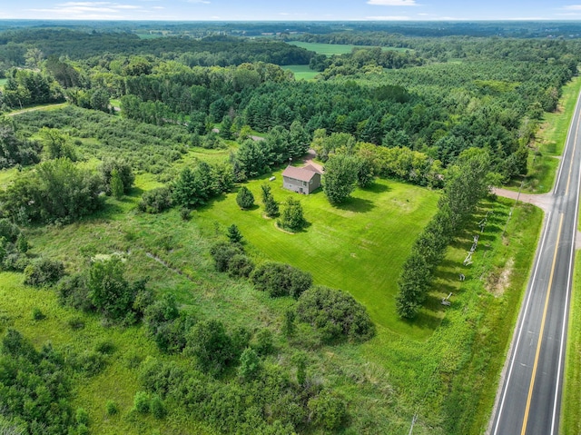 52925 Basswood Rd W, Nessel Twp, MN 55006 - photo 25