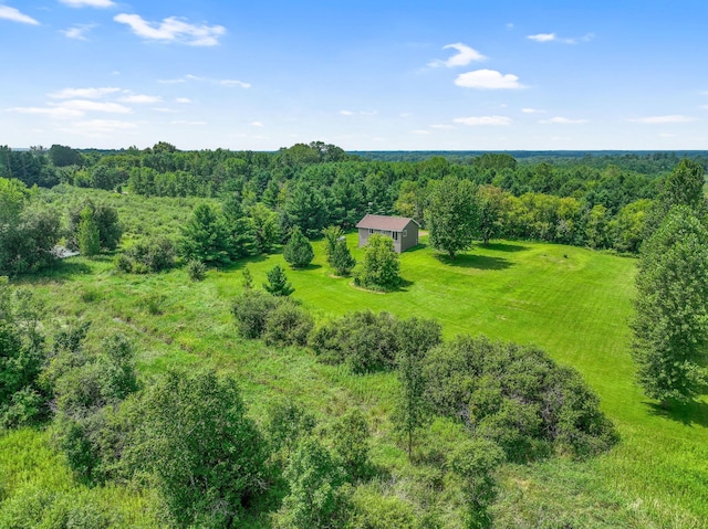 52925 Basswood Rd W, Nessel Twp, MN 55006 - photo 27