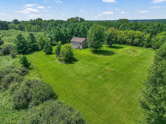52925 Basswood Rd W, Nessel Twp, MN 55006 - photo 28