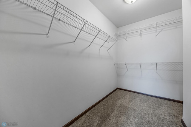 2239 35th Street Cir S, Moorhead, MN 56560 - photo 13