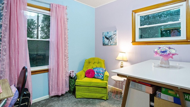 2319 9th St, Eau Claire, WI 54703 - photo 24