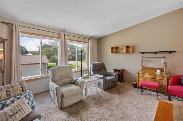 4411 Clover Ln Unit A, Eagan, MN 55122 - photo 10