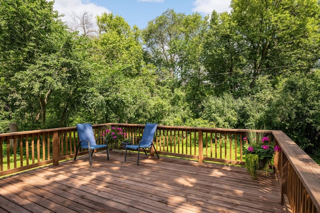 16812 Patricia Ln, Minnetonka, MN 55345 - photo 16
