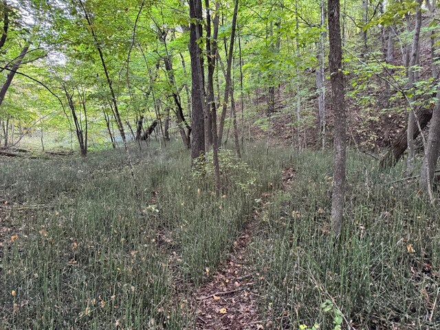 TRACT4 24628 Rock Lake Rd, Rochert, MN 56578 - photo 43