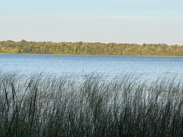 TRACT4 24628 Rock Lake Rd, Rochert, MN 56578 - photo 44