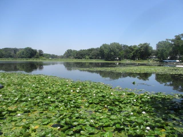 5261 Twin Lake Blvd E, Brooklyn Center, MN 55429 - photo 4