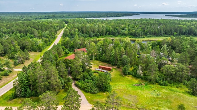 12820 Gunflint Dr, Park Rapids, MN 56470 - photo 41