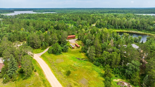 12820 Gunflint Dr, Park Rapids, MN 56470 - photo 42