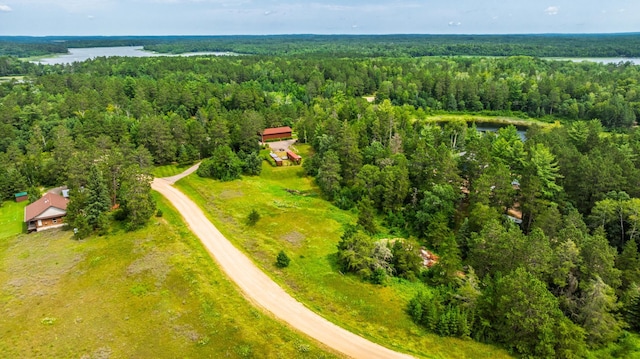 12820 Gunflint Dr, Park Rapids, MN 56470 - photo 43