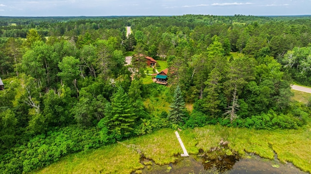 12820 Gunflint Dr, Park Rapids, MN 56470 - photo 45