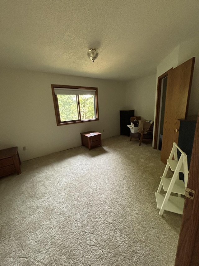 24301 Typo Dr NE, Linwood Twp, MN 55079 - photo 13