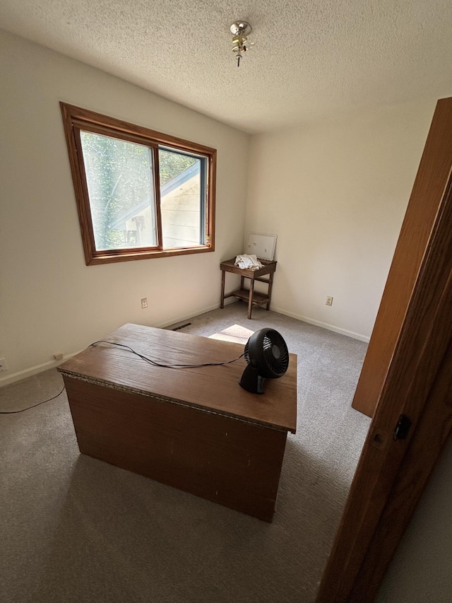 24301 Typo Dr NE, Linwood Twp, MN 55079 - photo 14