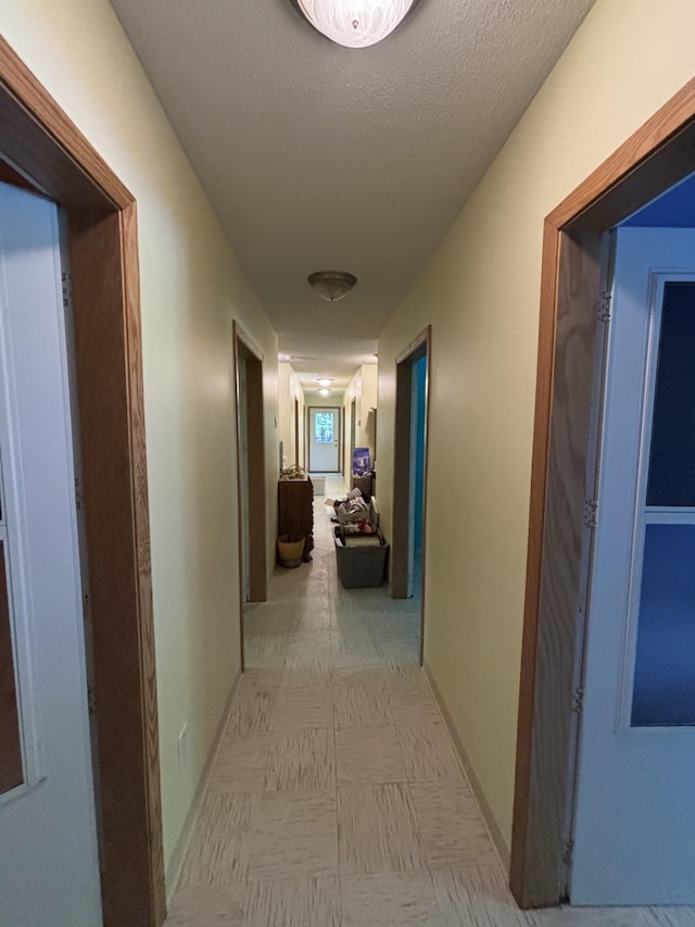 24301 Typo Dr NE, Linwood Twp, MN 55079 - photo 32