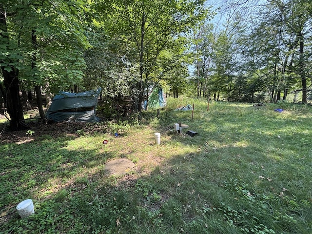 24301 Typo Dr NE, Linwood Twp, MN 55079 - photo 33