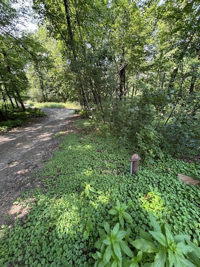 24301 Typo Dr NE, Linwood Twp, MN 55079 - photo 34