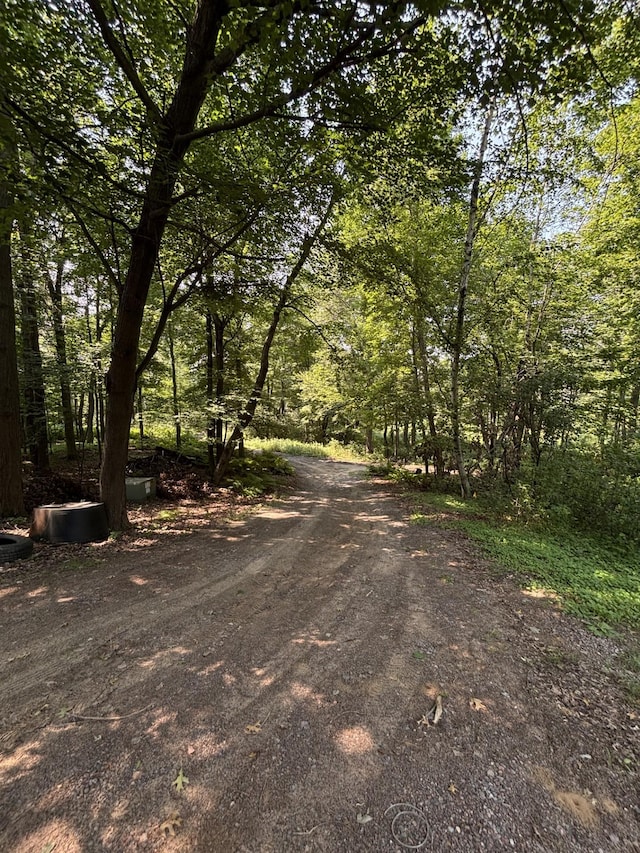 24301 Typo Dr NE, Linwood Twp, MN 55079 - photo 35