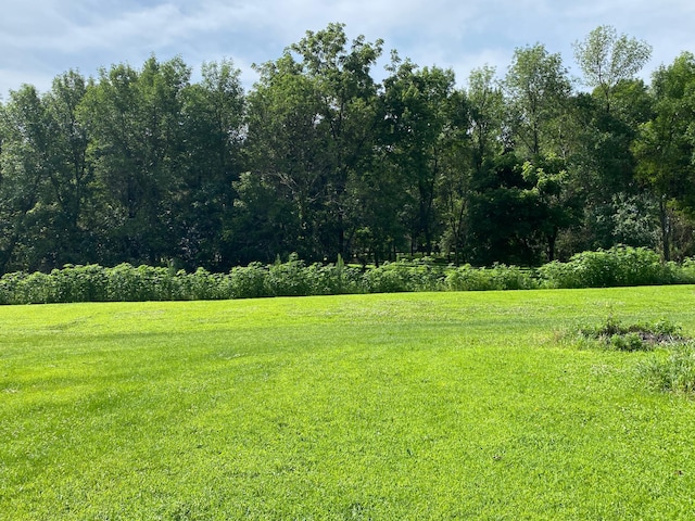 4686 State Highway 22, Kiester Twp, MN 56051 - photo 49