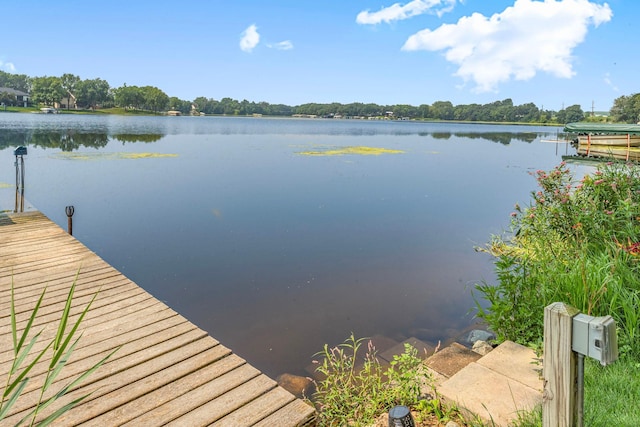 17643 Janssen Dr, Cold Spring, MN 56320 - photo 28