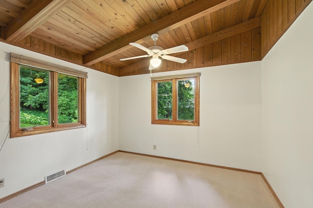 5815 Echo Rd, Shorewood, MN 55331 - photo 14