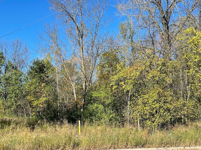 580 1st St, Milaca, MN 56353 - photo 2