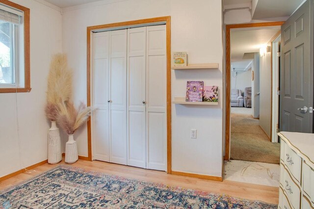 1747 Huntington Dr, West Fargo, ND 58078 - photo 20