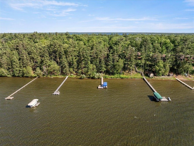 5916 Ojibwa Rd, Brainerd, MN 56401 - photo 45