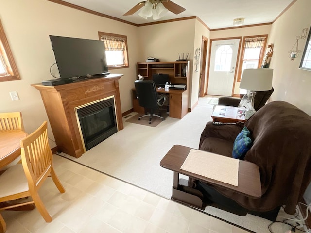 711 8th Ave NW, Austin, MN 55912 - photo 15