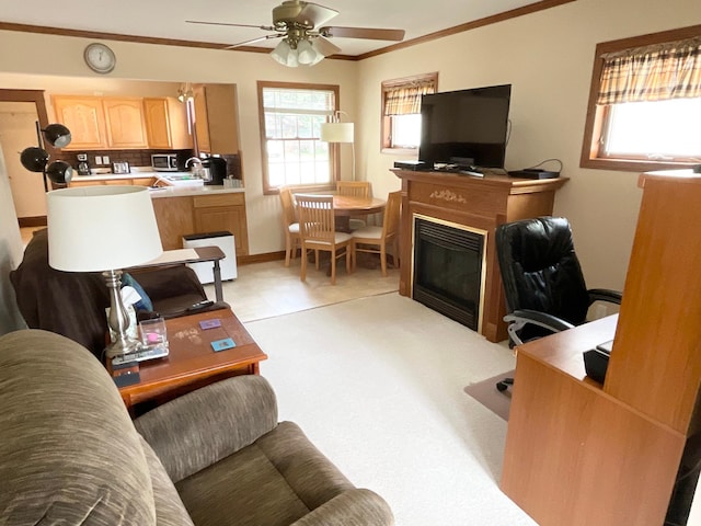 711 8th Ave NW, Austin, MN 55912 - photo 16