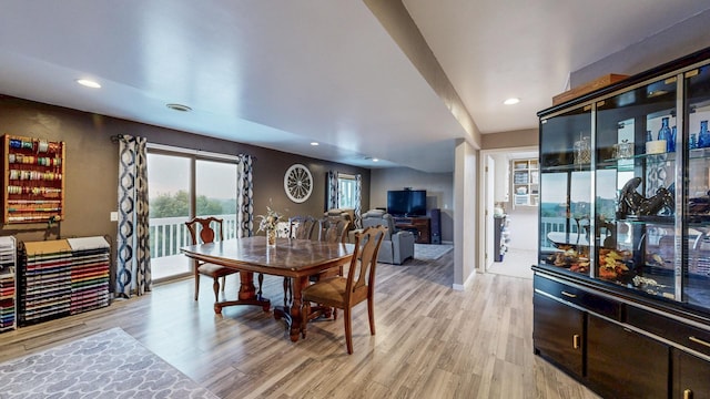 9 Island Heights Ct NE, Pine Island, MN 55963 - photo 28