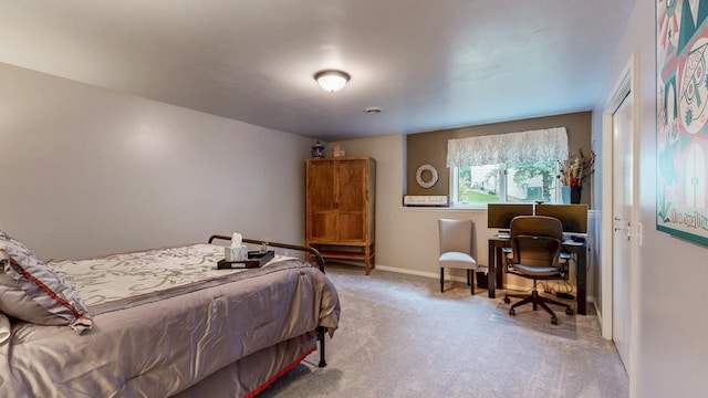 9 Island Heights Ct NE, Pine Island, MN 55963 - photo 36