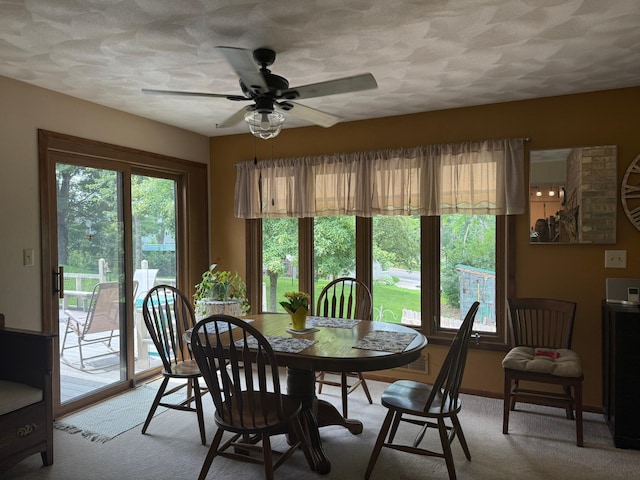 1138 Hawthorne Ave, Owatonna, MN 55060 - photo 8