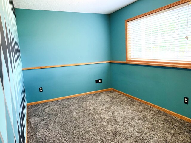 7893 384th Trl, North Branch, MN 55056 - photo 24