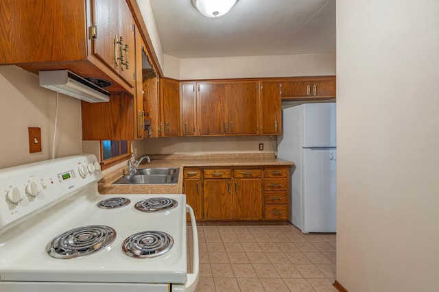 7925 Sunkist Blvd, Brooklyn Park, MN 55444 - photo 6