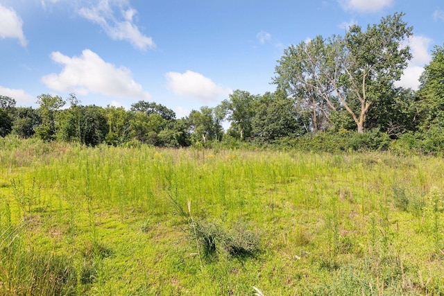 714 114th Ct NE, Blaine, MN 55434 - photo 14