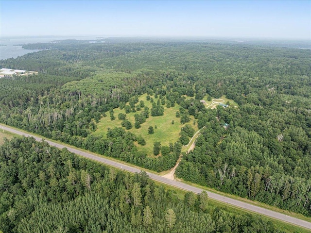 34358 Peoria Rd, Pequot Lakes, MN 56472 - photo 41